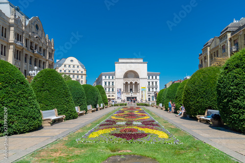 beautiful city in Romania - Timisoara Canvas Print
