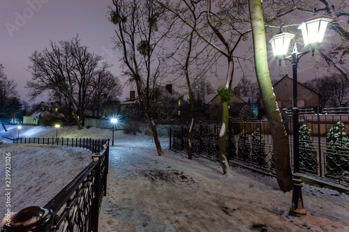 Plakat romantyczny, nocny, ośnieżony park z latarniami