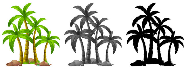 Wall Mural - Set of palm tree