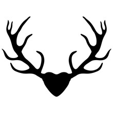 Deer Antlers, Silhouette Isolated On White