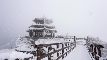 Wall Mural - Snow falling at Deogyusan mountains in winter, South Korea.