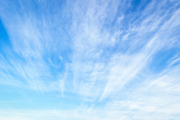 Environmental protection concept :Abstract white cloud and blue sky