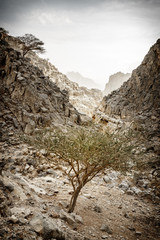 Wall Mural - Hajar Mountains of Ras Al Khaimah