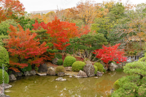 万博記念公園 日本庭園の紅葉 Stock Photo Adobe Stock