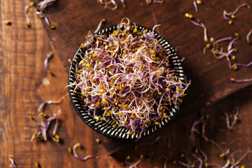 Sticker - kale sprouts on a table