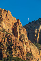 Sticker - Scenic Zion National Park Landscape