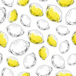 Hand drawn seamless pattern. Ink sketch and yellow watercolor stain lemons.