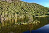 Fototapeta Do pokoju - Quiet forest lake in Finland