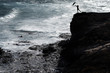 waves crashing on rocks silhouette of girl with umbrella