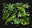 Vector banner with green tropical leaves on green