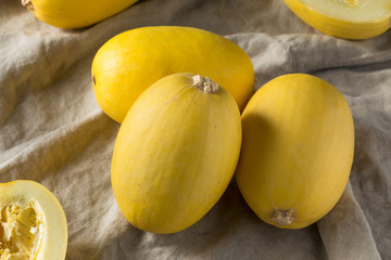 Canvas Print - Raw Organic Yellow Spaghetti Winter Squash