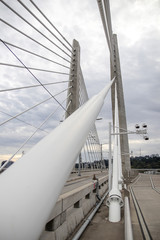 Tilikum Crossing Bridge