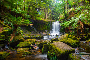 horseshoe falls in mount field national park in tasmania, australia