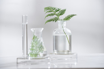 Wall Mural - cosmetic nature skincare and essential oil aromatherapy .organic natural science beauty product .her