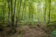 amount in autumn