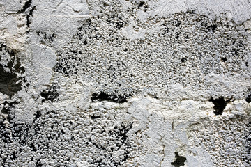 rough texture of a old gray wall.