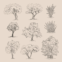 hand drawn tree sketches set. vector illustration.