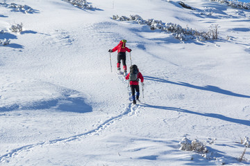Wall Mural - Back view of two tourist hikers with backpacks and hiking poles ascending snowy mountain slope on sunny winter day on white snow copy space background. Extreme sport, recreation, winter holidays.