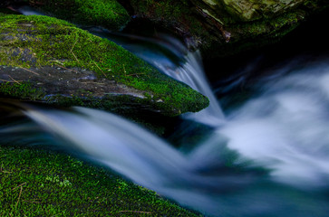 small waterfall in the forest