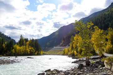  秋のカナディアンロッキー　黄葉のキッキング・ホース川（ヨーホー国立公園　カナダ　ブリティッシュ・コロンビア州）