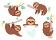 Set of joyful sloth sitting on a branch. Vector illustration. Cartoon slyle.Isolated on white background