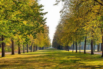 The Great Garden (German: Großer Garten) is a baroque style park in central Dresden, Germany. View in late summer / early autumn.