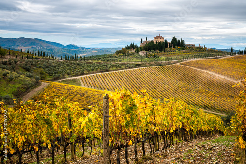 Cuadros en Lienzo Chianti Region, Tuscany. Vineyards in autumn. Italy