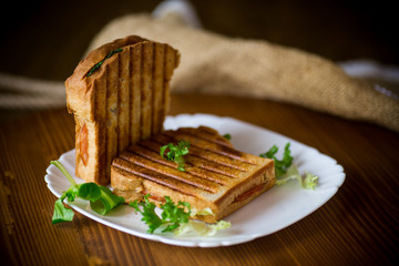 Sticker - hot double sandwich with lettuce leaves and stuffed in a plate