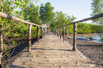 Wooden bridge Nature walk Samed Nang Chee Harbor in the village banhin rom co-operation pier, with the viewpoint of tropical Phang Nga Thailand.