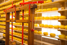 Dutch Cheese Factory