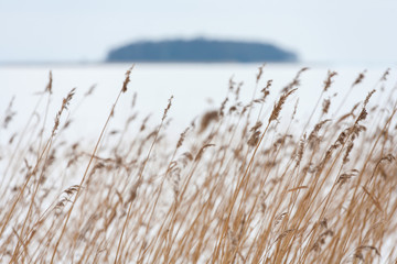 Naklejka na meble Island on the Sniardwy Lake in winter, the largest lake in Poland, Masuria Region, Poland