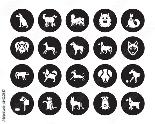 Fotografía 20 vector icon set : Vizsla dog, Fox Terrier German Shepards Goldador Golden Ret