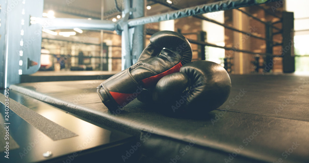 boxing gloves in ring - obrazy, fototapety, plakaty 