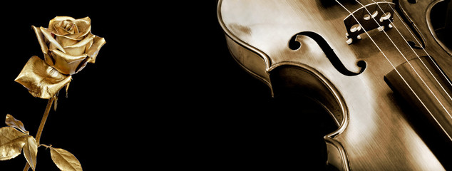 Wall Mural - violin and rose. gold violin and a beautiful golden rose on a black background