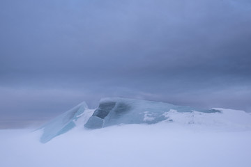Wall Mural - a snowstorm on the surface of the frozen sea, the wind carries snowflakes through the ice floe.
