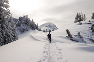 Poster - woman hiking into the winter mountain landscape of the Alps of Switzerland with snowshoes on a beautiful day