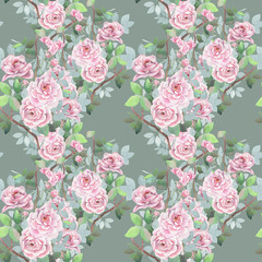  Watercolor seamless pattern. Wild roses mixed background. Romantic wallpaper.