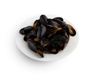 Mussels in sash on a white plate. Mussels in wine sauce on a white background.