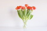 Fototapeta Tulipany - Different life stages of a studio bouquet of red / orange tulips in twenty separate images, from buds to death.
