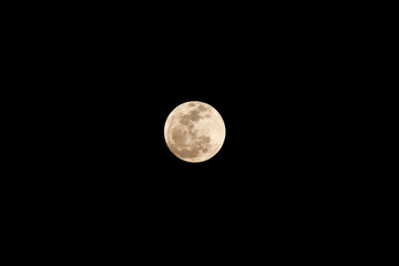 Wall Mural - full moon background.