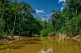 Fototapeta Sawanna - Amazon jungle and river