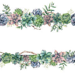 Watercolor floral banner with succulents, tree branch and eucalyptus. Hand painted cacti, eucalyptus leaves and branches isolated on white background.  Botanical illustration for design, print. 