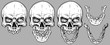 © GB_Art - Detailed graphic realistic cool white human skulls with broken teeth and lower jaws. On gray background. Vector icon set.
