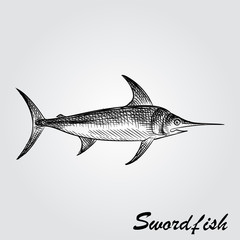 Hand Drawn Swordfish Sketch Symbol isolated on white background. Vector of Fishing elements In Trendy Style. Sketch of saltwater sea or freshwater river fish species flounder