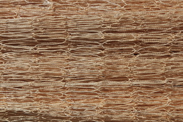 Nylon fishnet texture. Fishnet macro background.