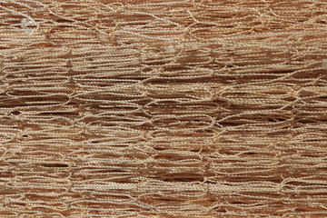 Nylon net texture. Fishnet macro background.