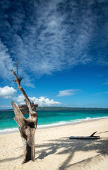 Wall Mural - famous puka beach on tropical paradise boracay island in philippines