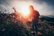 Sillhouette Of A Young Girl Enjoying In The Cosmos Flower Garden Against Sunset Or Sunrise, Selective Focus And Vintage Filter