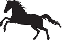 Black Silhouette Of Horse