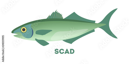 Fotografija Scad fish. Marine food. Idea of fishing